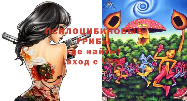 a pvp Горняк
