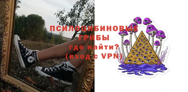 a pvp Горняк