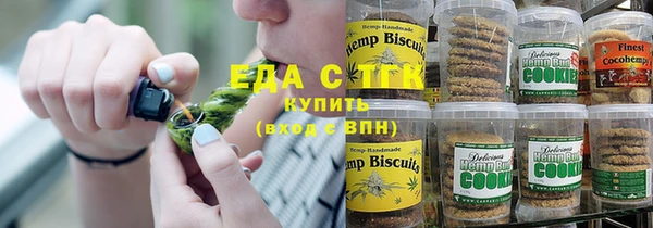 гашик Гусь-Хрустальный