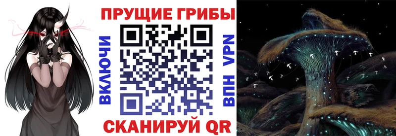Галлюциногенные грибы мухоморы  Купить где  Строитель 