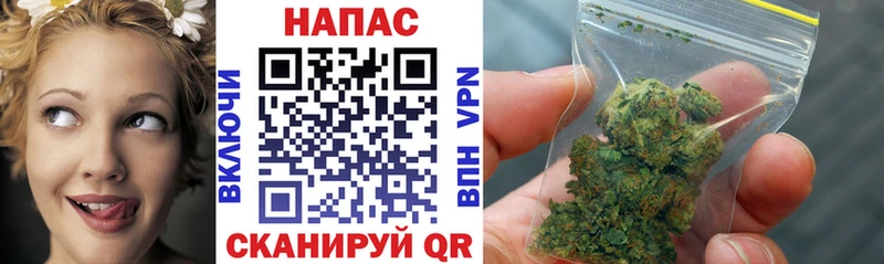 Купить где  Строитель  Каннабис марихуана 